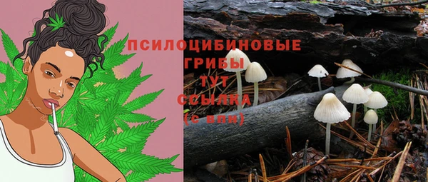 соль курить ск Горняк