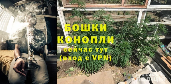 альфа пвп Горнозаводск
